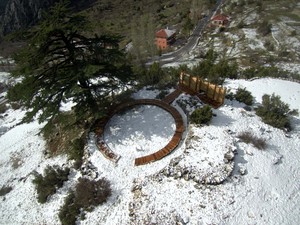 _harman (6).jpg