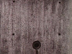 p (2).jpg