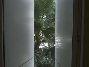 DSC_0672.jpg