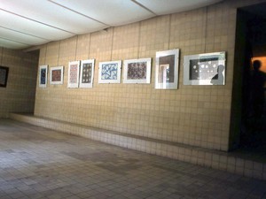 431-Image-25.jpg