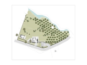 z1 (1).jpg