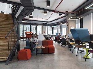 Workinton Kozyatağı