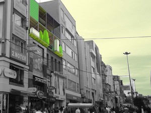 009.jpg