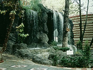10.JPG