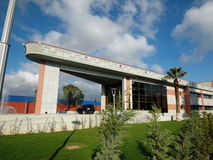 1 (12).JPG