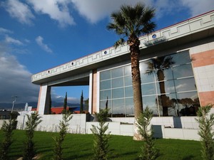 1 (13).JPG