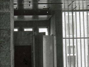 Image-21.jpg