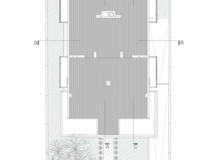 z (1).jpg