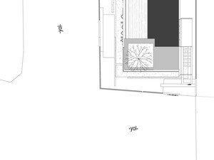 z (0).jpg