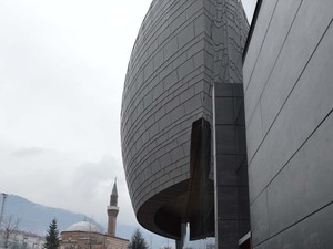 1 (15).jpg