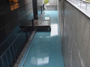 1 (22).jpg