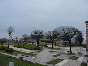 1 (24).jpg