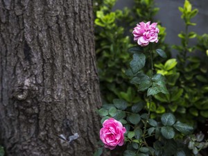 1 (15).jpg