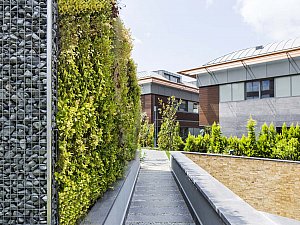 Pırlanta Koru Peyzaj Projesi