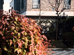 IMG_1313.jpg