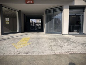 IMG_1808.jpg