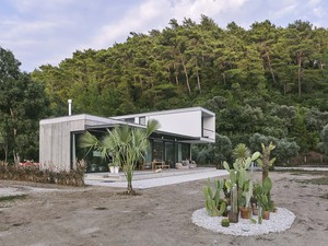 citlik_evi (3).jpg