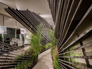 _ (4).jpg
