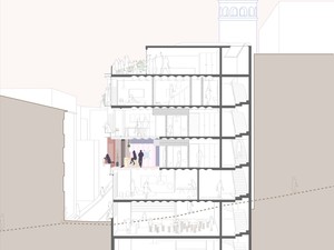 SANALarc_Hacımimi61_03_section perspective.jpg
