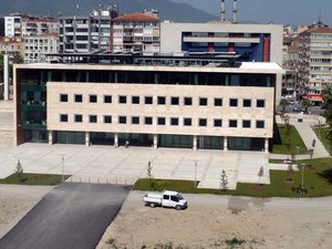 d10.jpg
