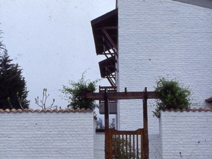 1 (16).jpg