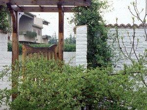 1 (21).jpg