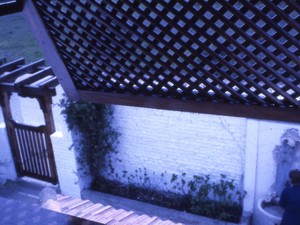 1 (23).jpg
