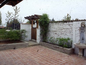 1 (24).jpg