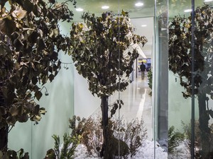 slash architects- dentagram- poliklinik (19).jpg