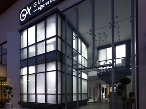 01-slasharchitects-gulus akademisi.jpg