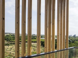 slasharchitects-perspective-offices-13-balcony-wood-seperator.jpg