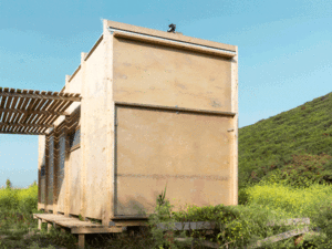cabin on the border-optimize