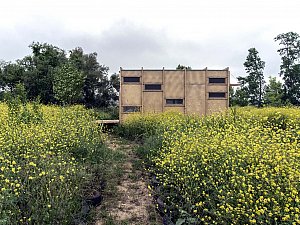 Sınırdaki Barınak