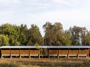tavuklar_evi (2).jpg