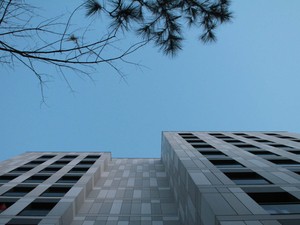 IMG_4500.JPG