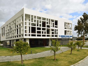 bdto (1).jpg