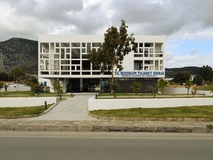 bdto (13).JPG