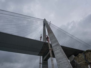 DSC_0245.jpg