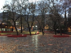 a (9).JPG