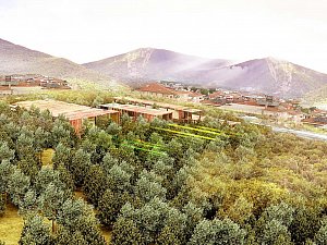 3. Ödül Yeni Erbaa Çamlık Sosyal Habitatı Ulusal Mimari Proje Yarışması