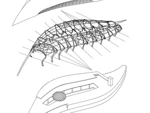 SBM-008.jpg