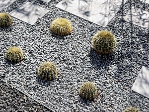 CKA-Reisdere-48.jpg