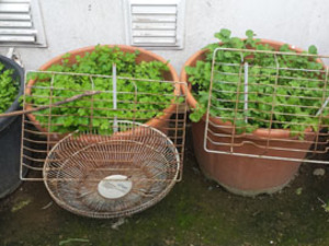 Foto 1_res (7).jpg