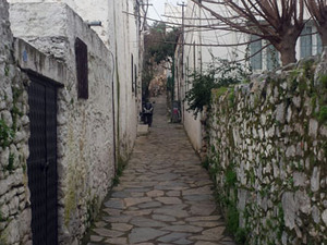 Foto 1_res (9).jpg
