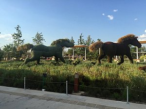 Lale Ozgenel EXPO 2016