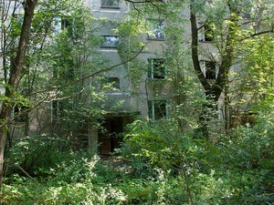 mgdg4 (10).jpg