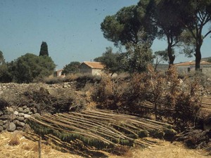 dunden bugune barbaros  (2).jpg