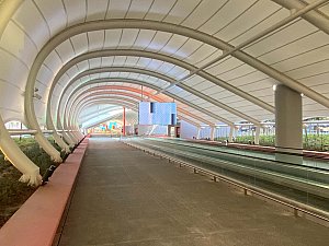 IMG_2058_Original.jpg