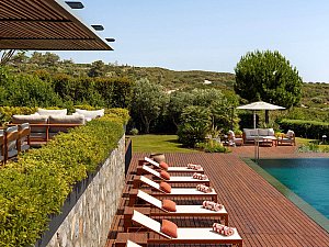 20250619_Habif_K_House178286.jpg