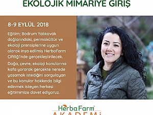 Başlığı girin
